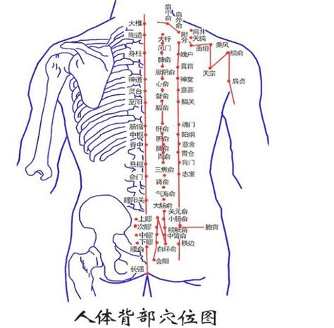 背部有痣代表什么|有痣在背，長壽富貴！背上各部位痣相命理詳解